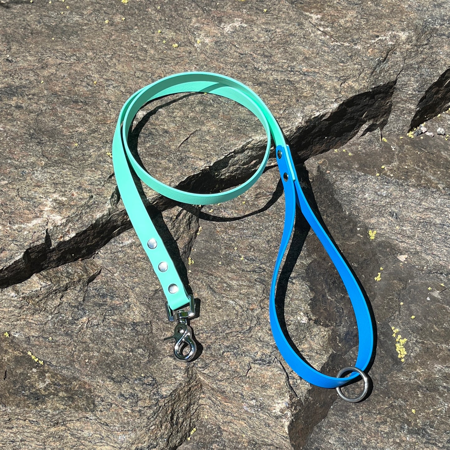 Laisse 2 couleurs 3.0 | 2 colors leash 3.0 (3/4)