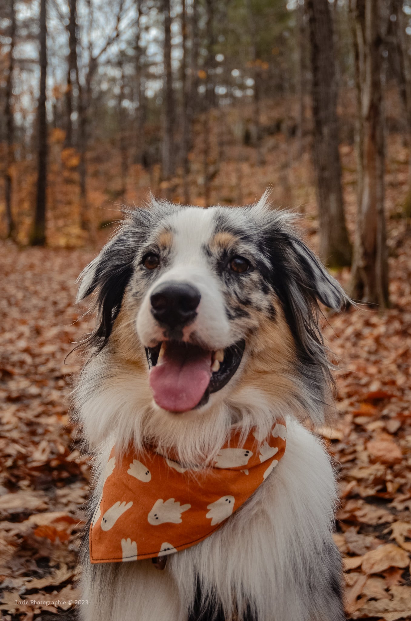 Jack-o’-lantern