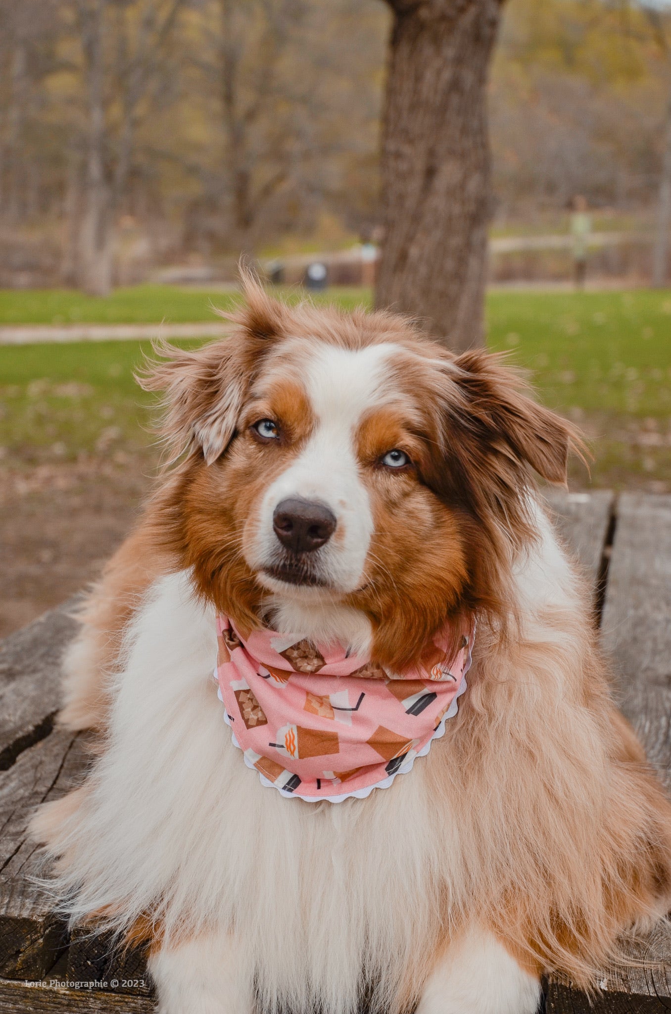 Pup Cup (Rose / Pink)