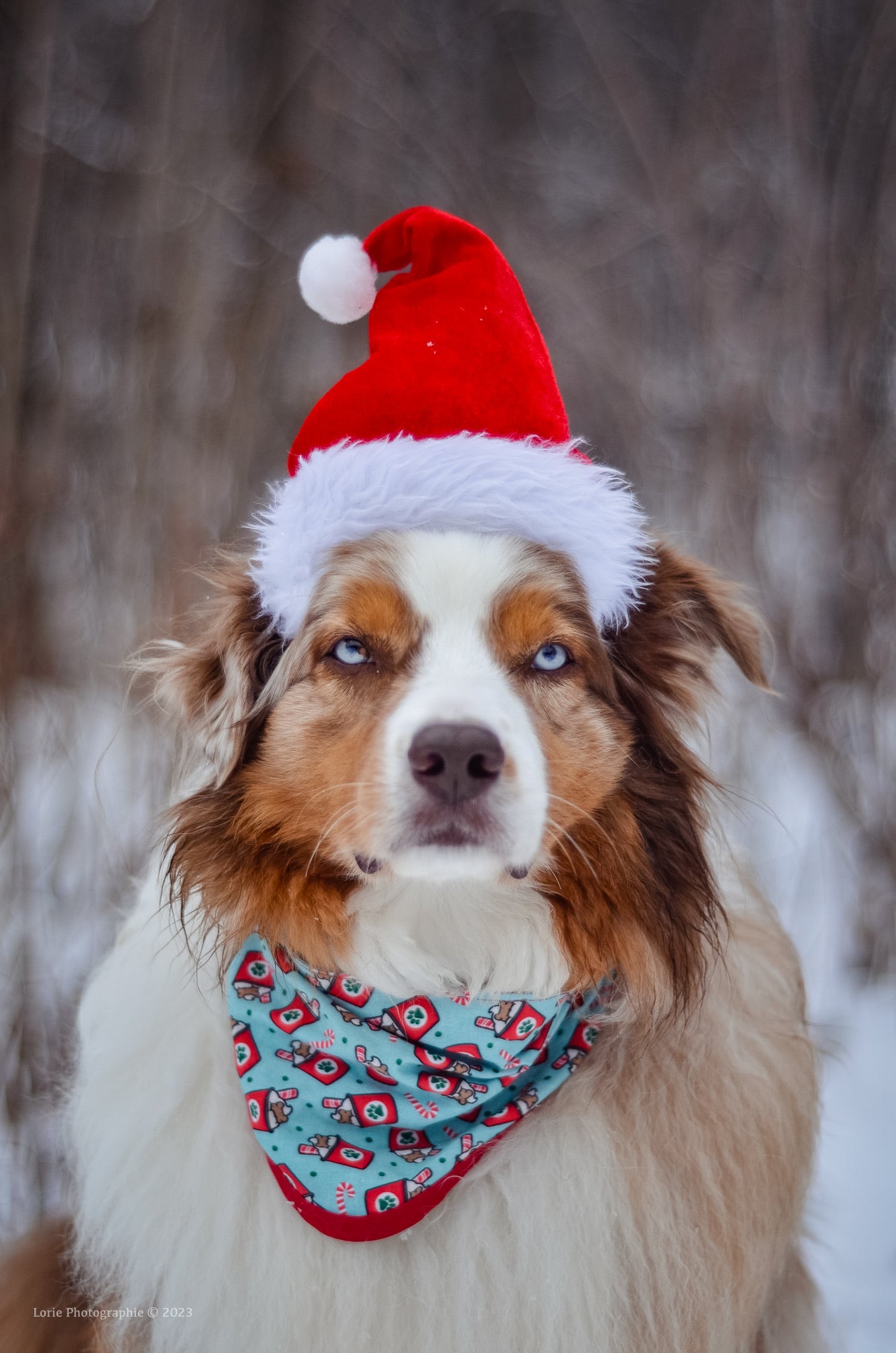 Christmas Pups - Clips