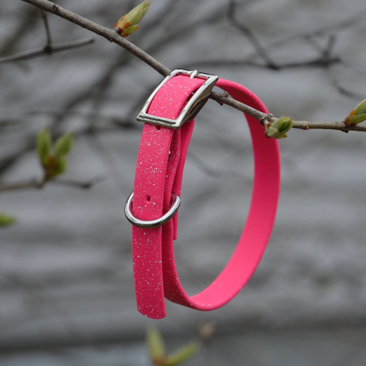 Speckled - Collier standard | Standard collar